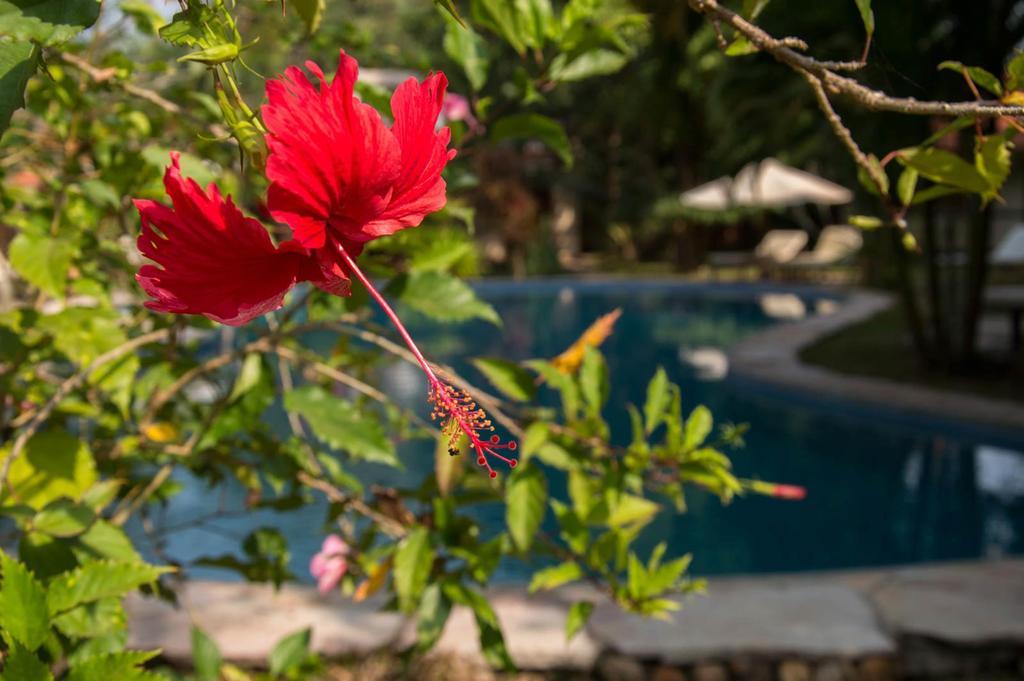 Le Flamboyant Resort Kep Dış mekan fotoğraf